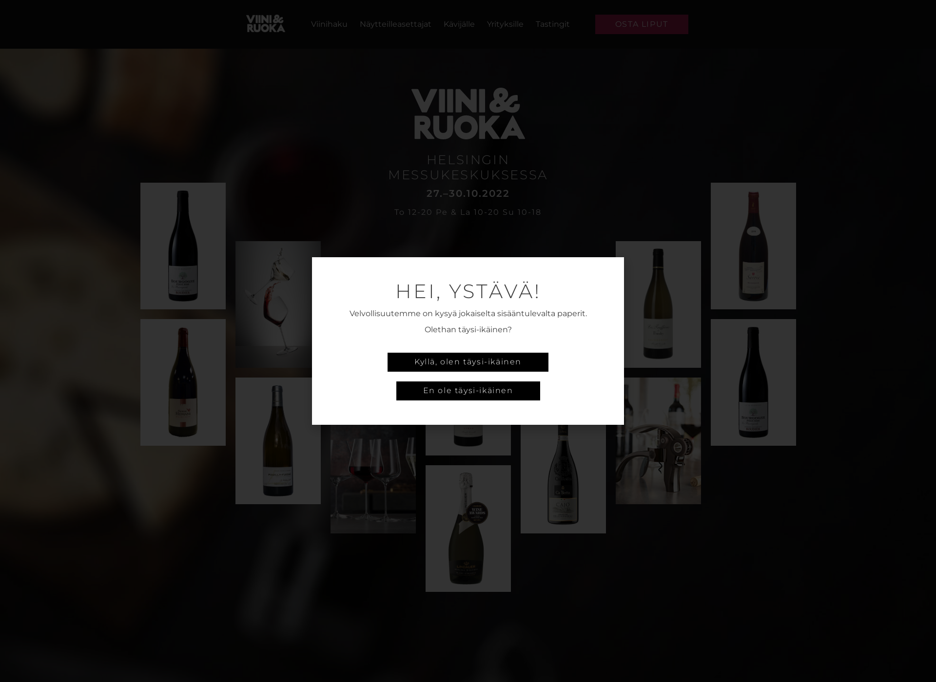 Screenshot for viiniruoka.fi