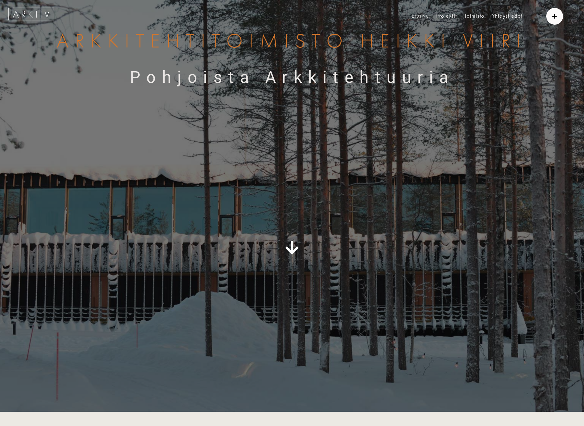 Screenshot for viiriylinenpaa.fi