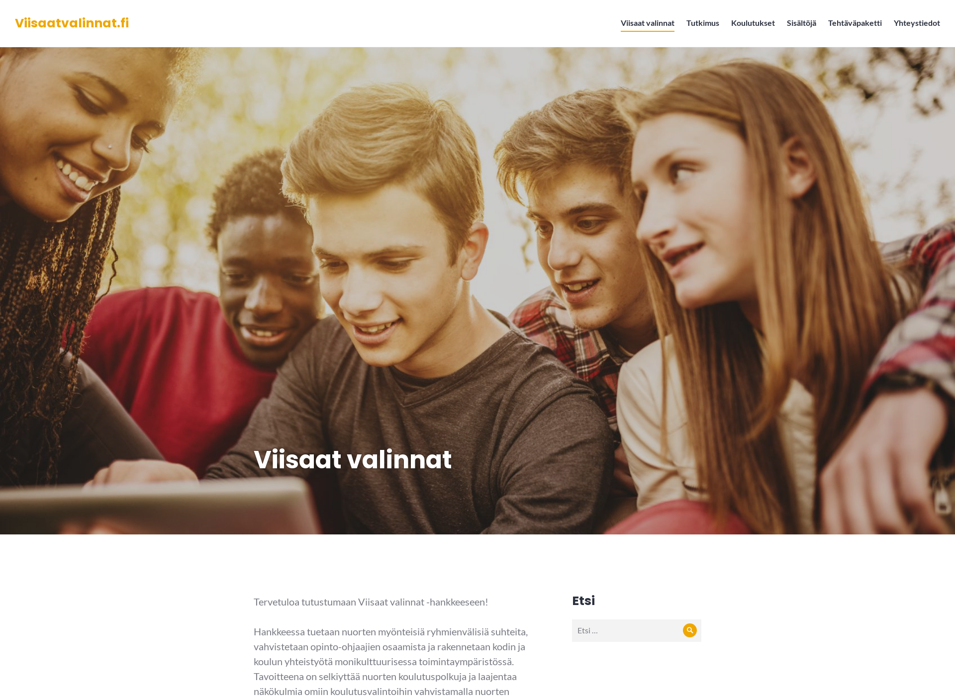 Screenshot for viisaatvalinnat.fi