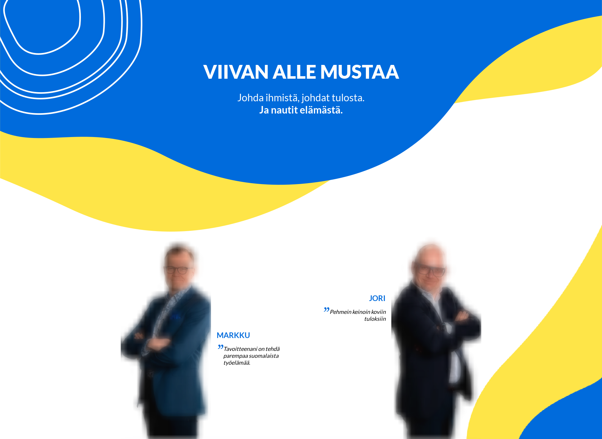 Screenshot for viivanallemustaa.fi