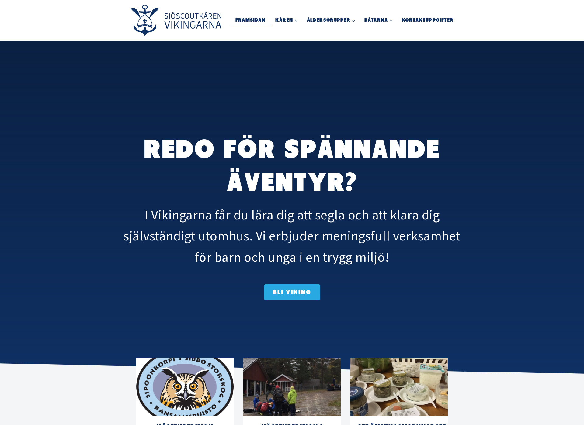 Screenshot for vikingarna.fi