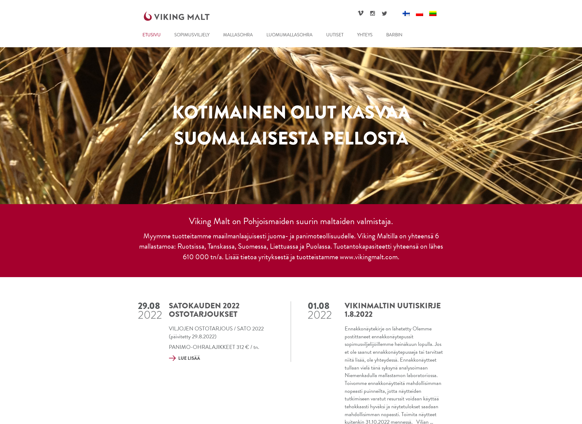 Screenshot for vikingmalt.fi
