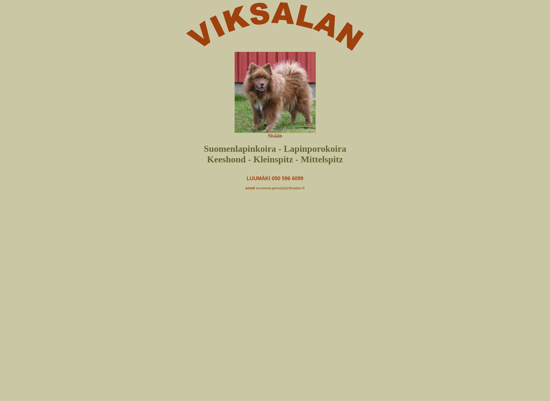Screenshot for viksalan.fi
