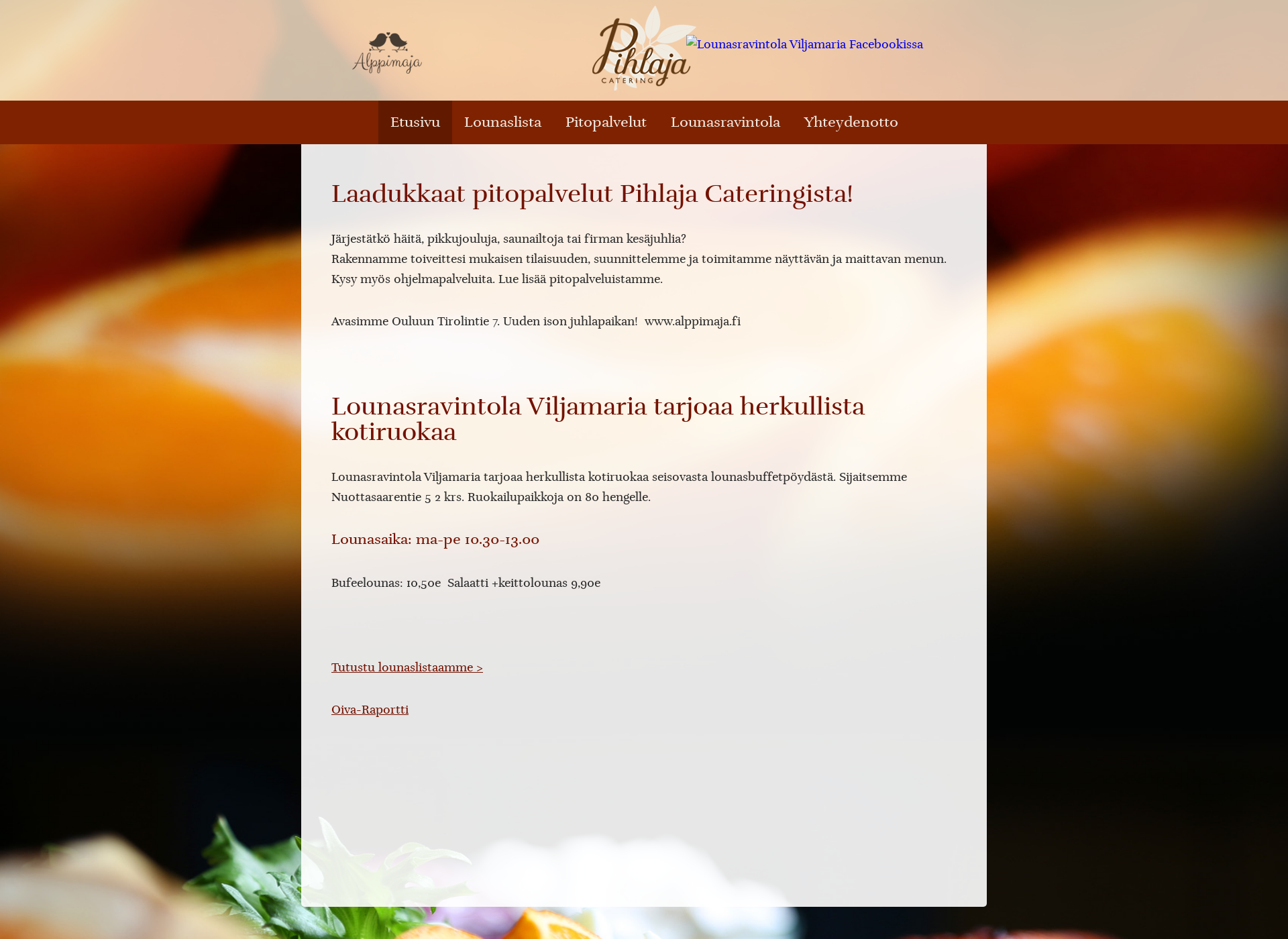 Skärmdump för viljamaria.fi