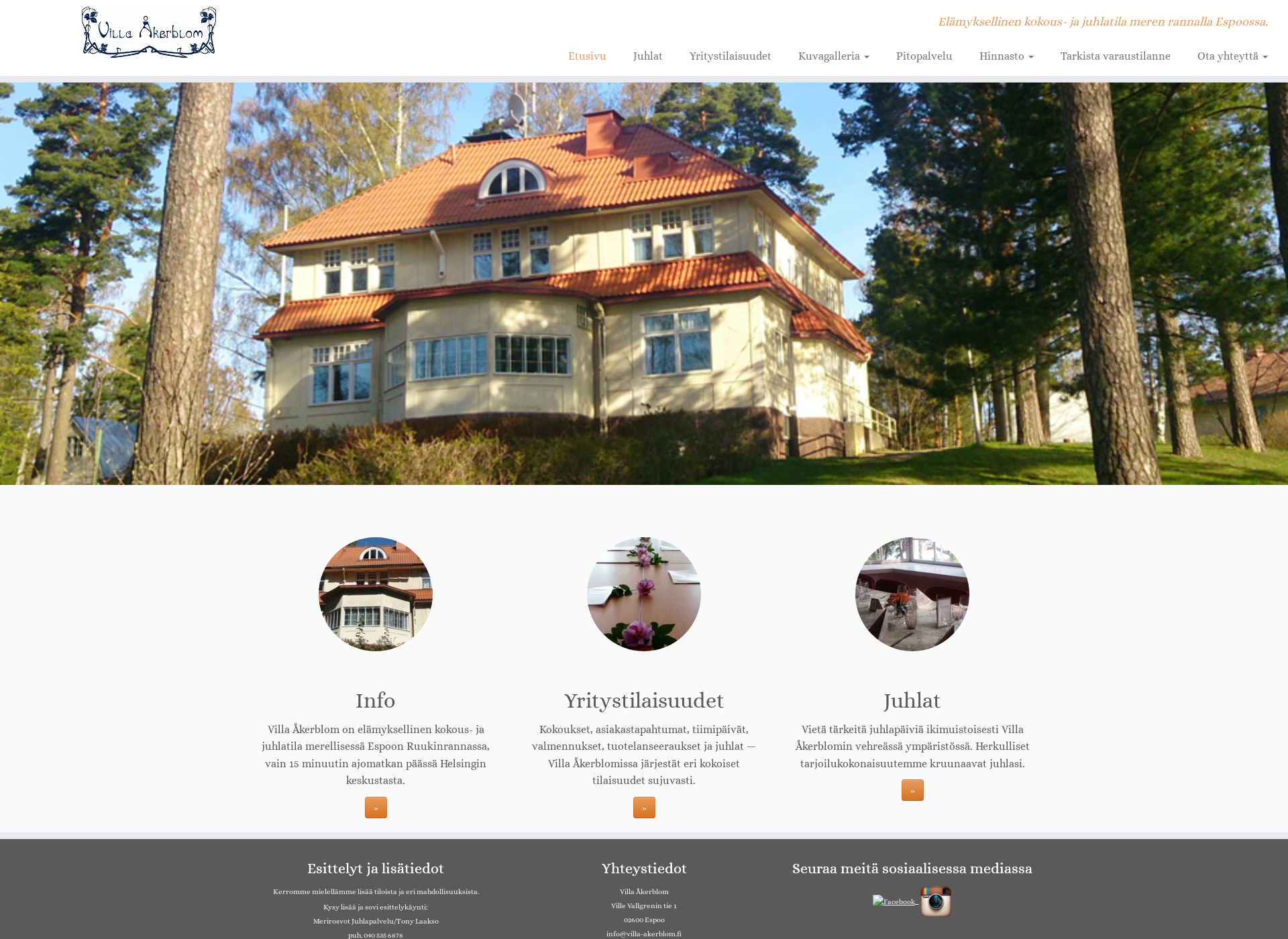 Screenshot for villa-akerblom.fi