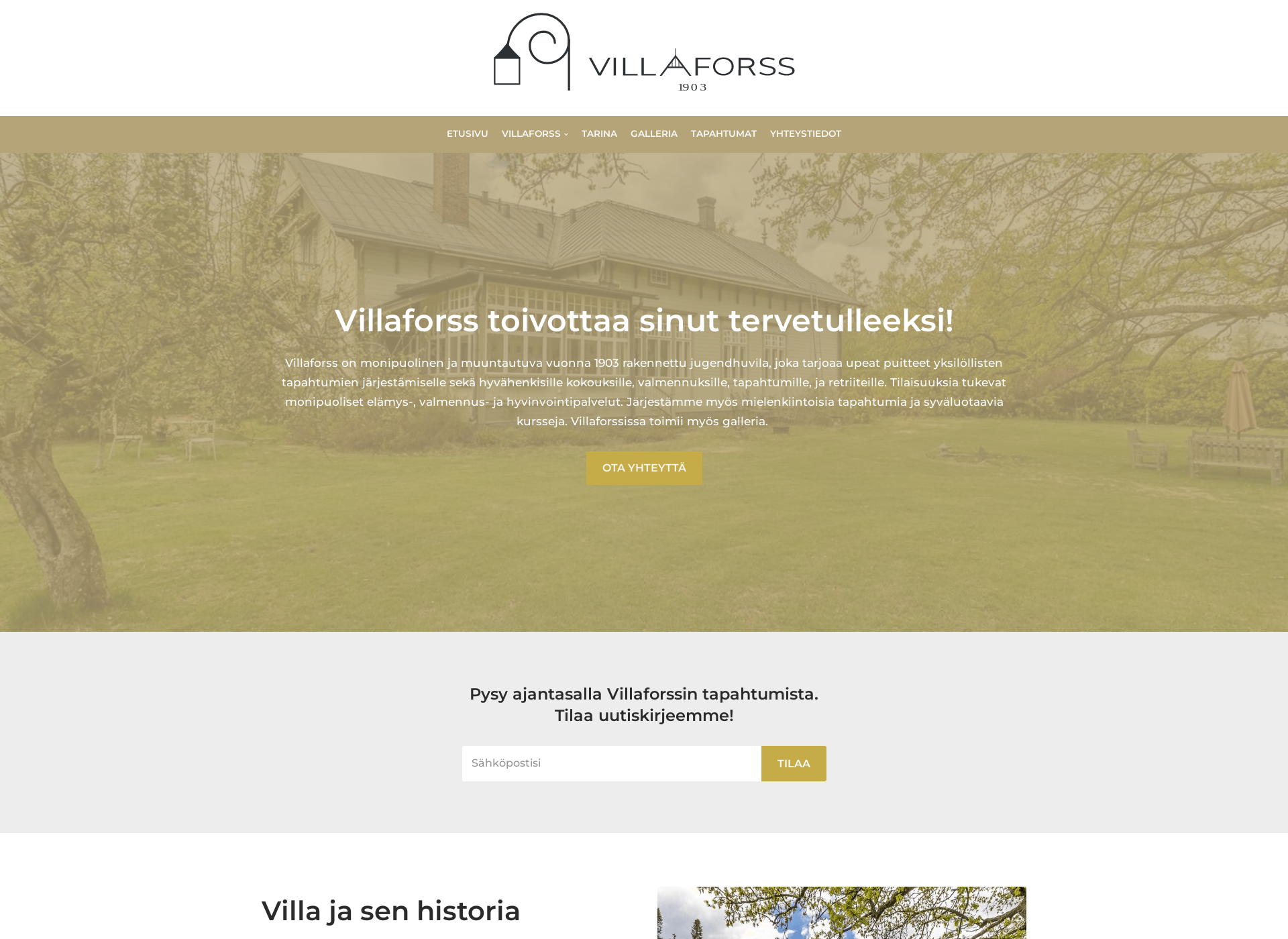 Skärmdump för villaforss.fi