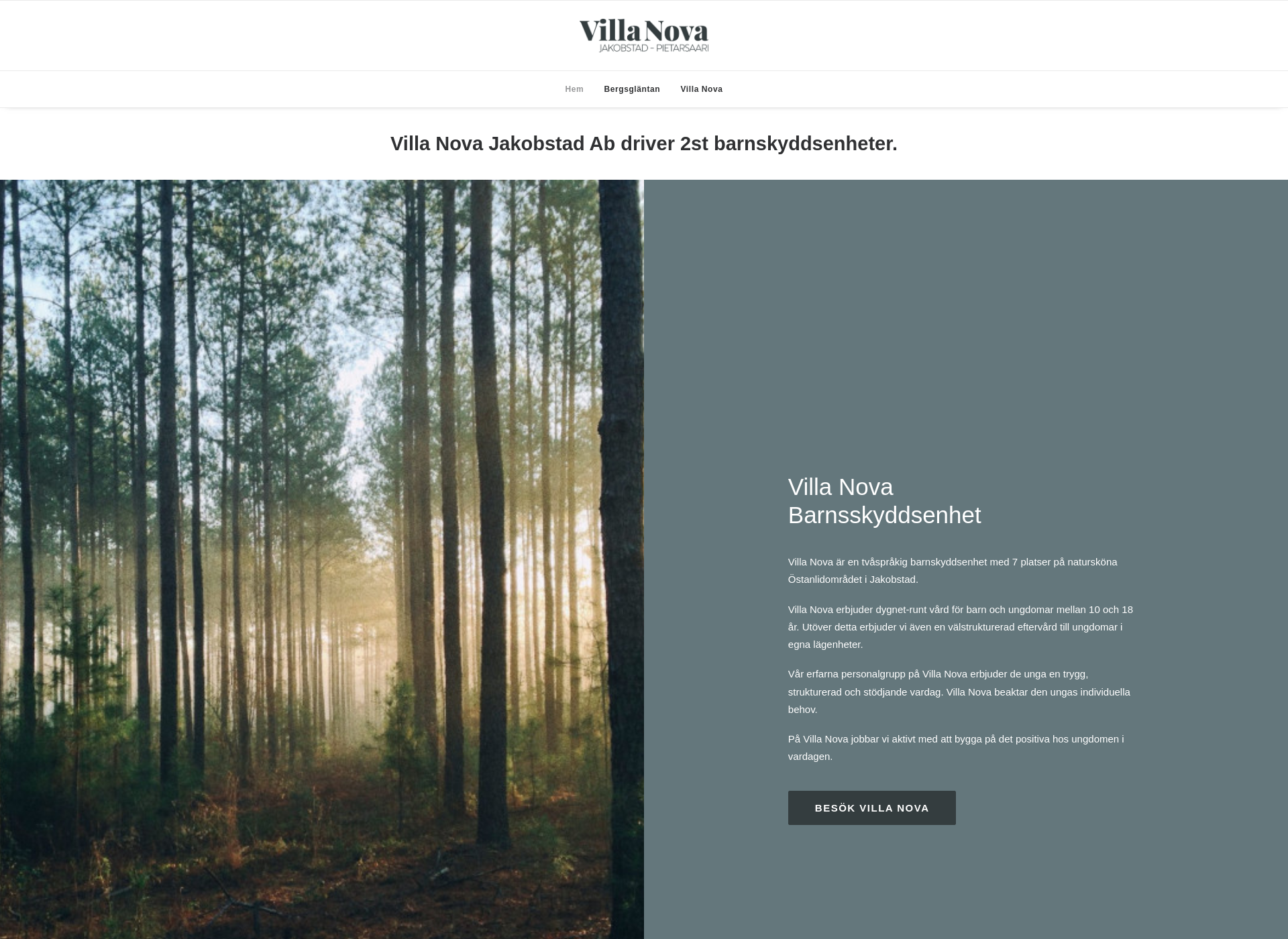 Screenshot for villanova.fi