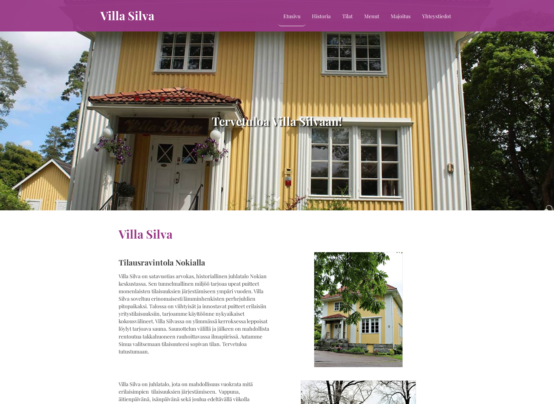 Screenshot for villasilva.fi