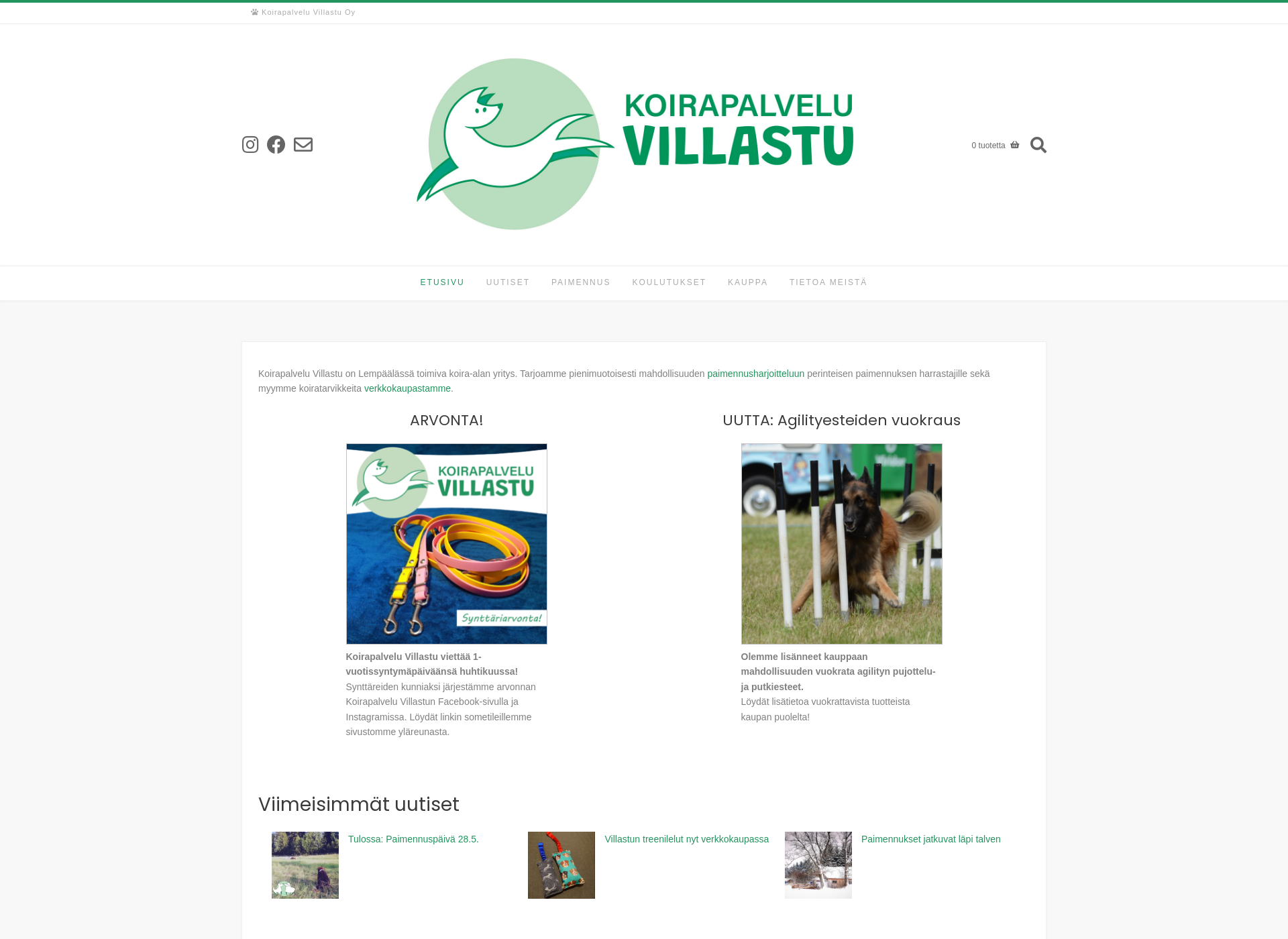 Screenshot for villastu.fi