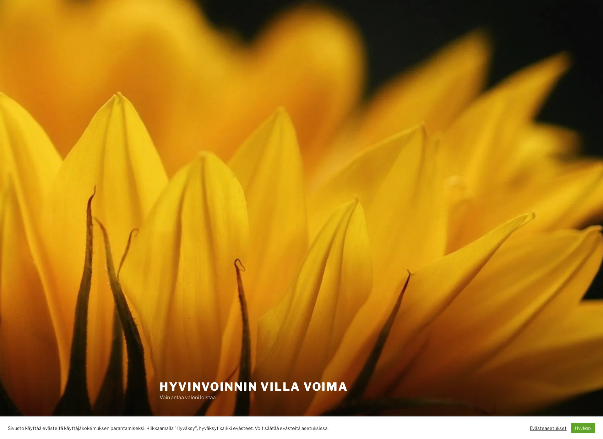 Screenshot for villavoima.fi