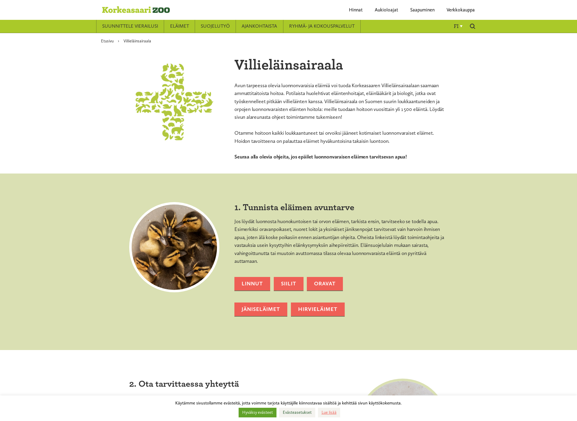 Screenshot for villielainsairaala.fi