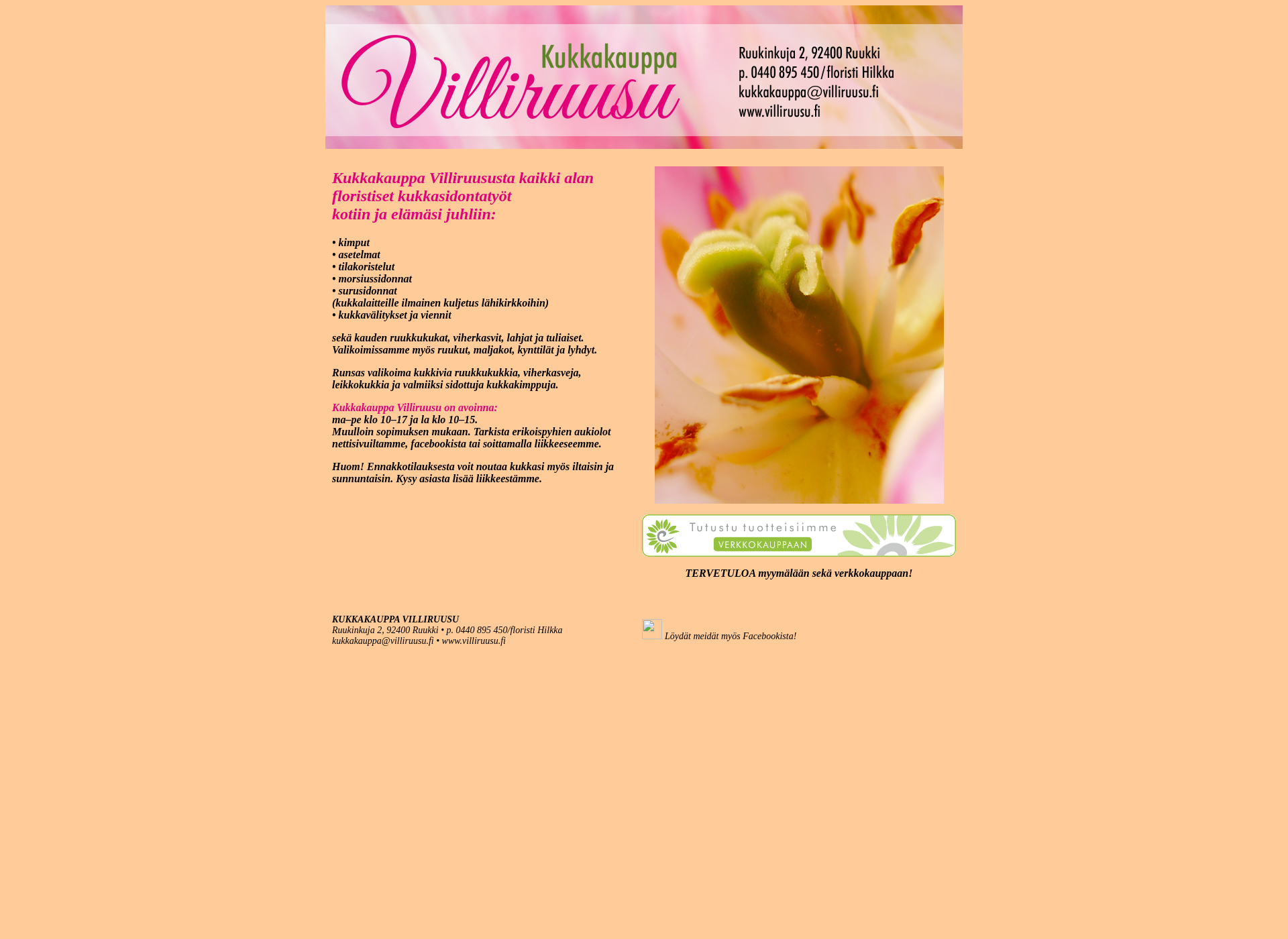 Screenshot for villiruusu.fi