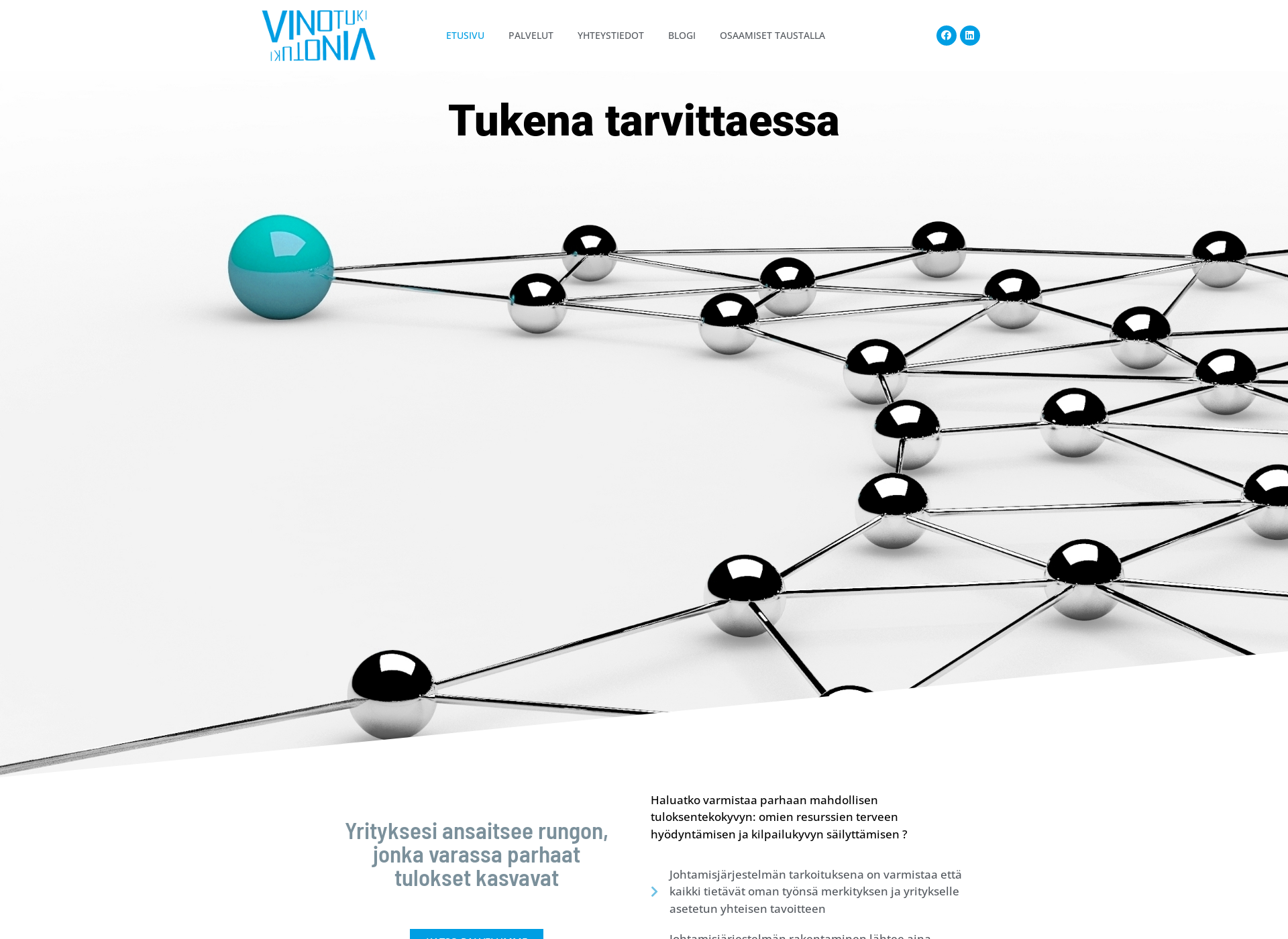 Skärmdump för vinotukioy.fi