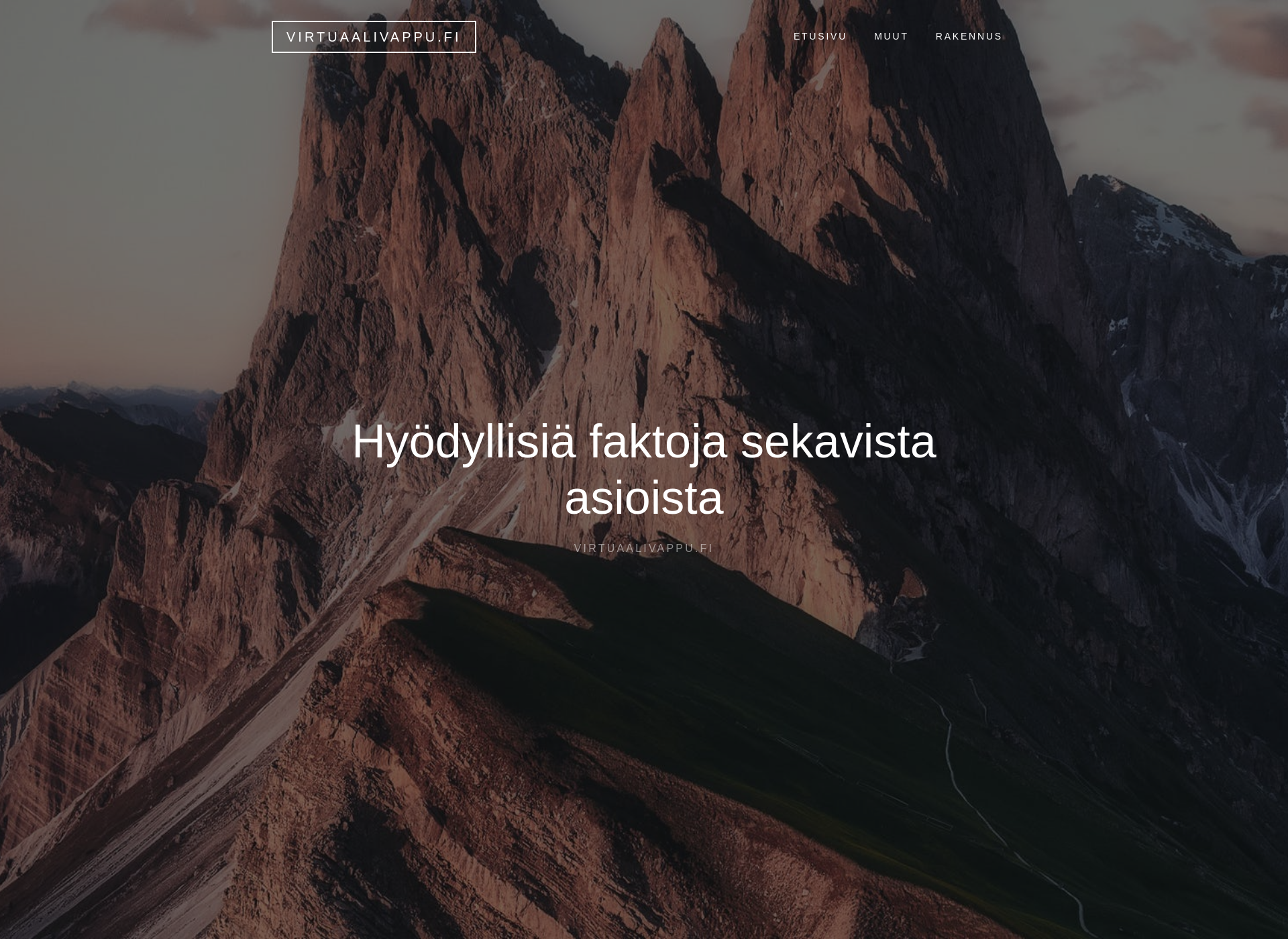 Skärmdump för virtuaalivappu.fi