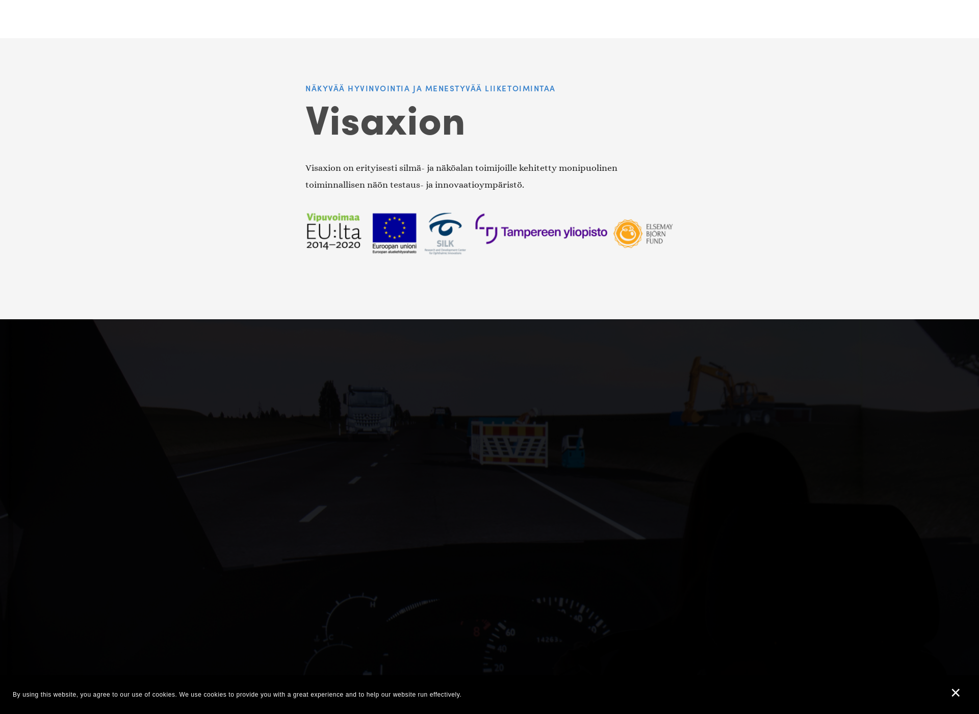 Skärmdump för visaxion.fi