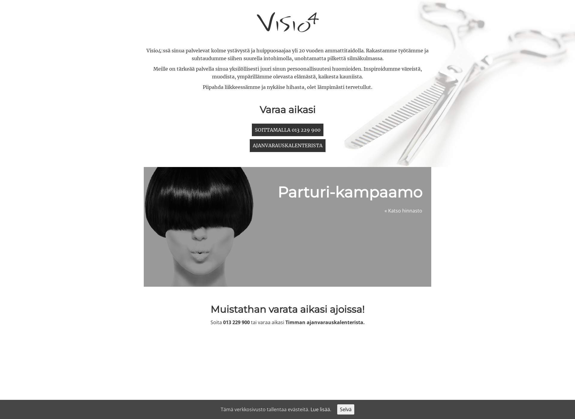 Skärmdump för visio4.fi