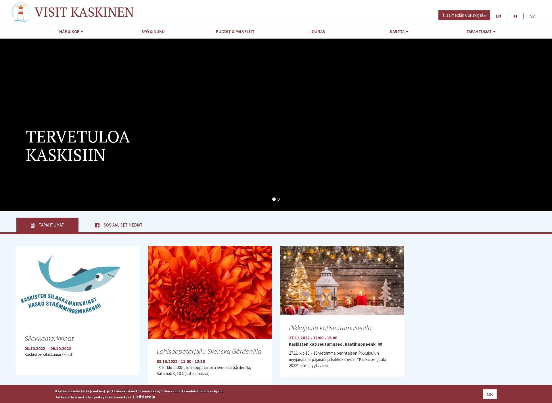 Screenshot for visitkaskinen.fi