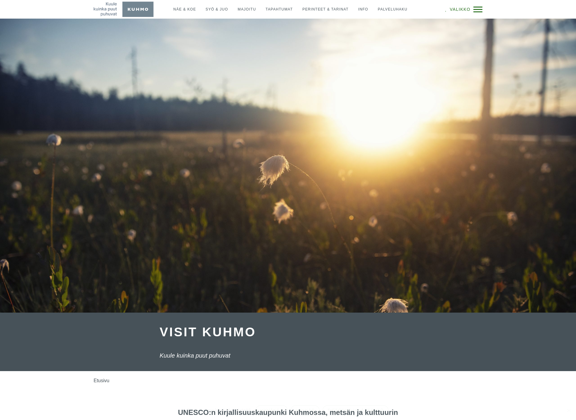 Skärmdump för visitkuhmo.fi