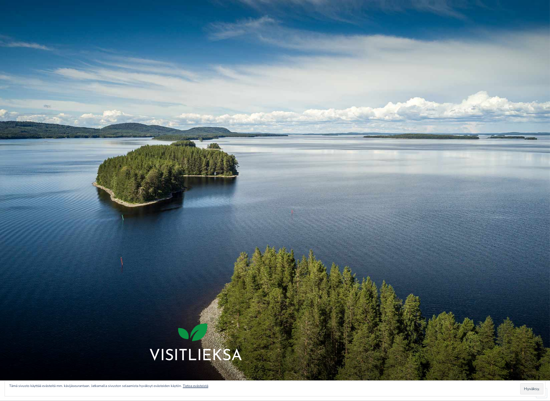 Screenshot for visitlieksa.fi