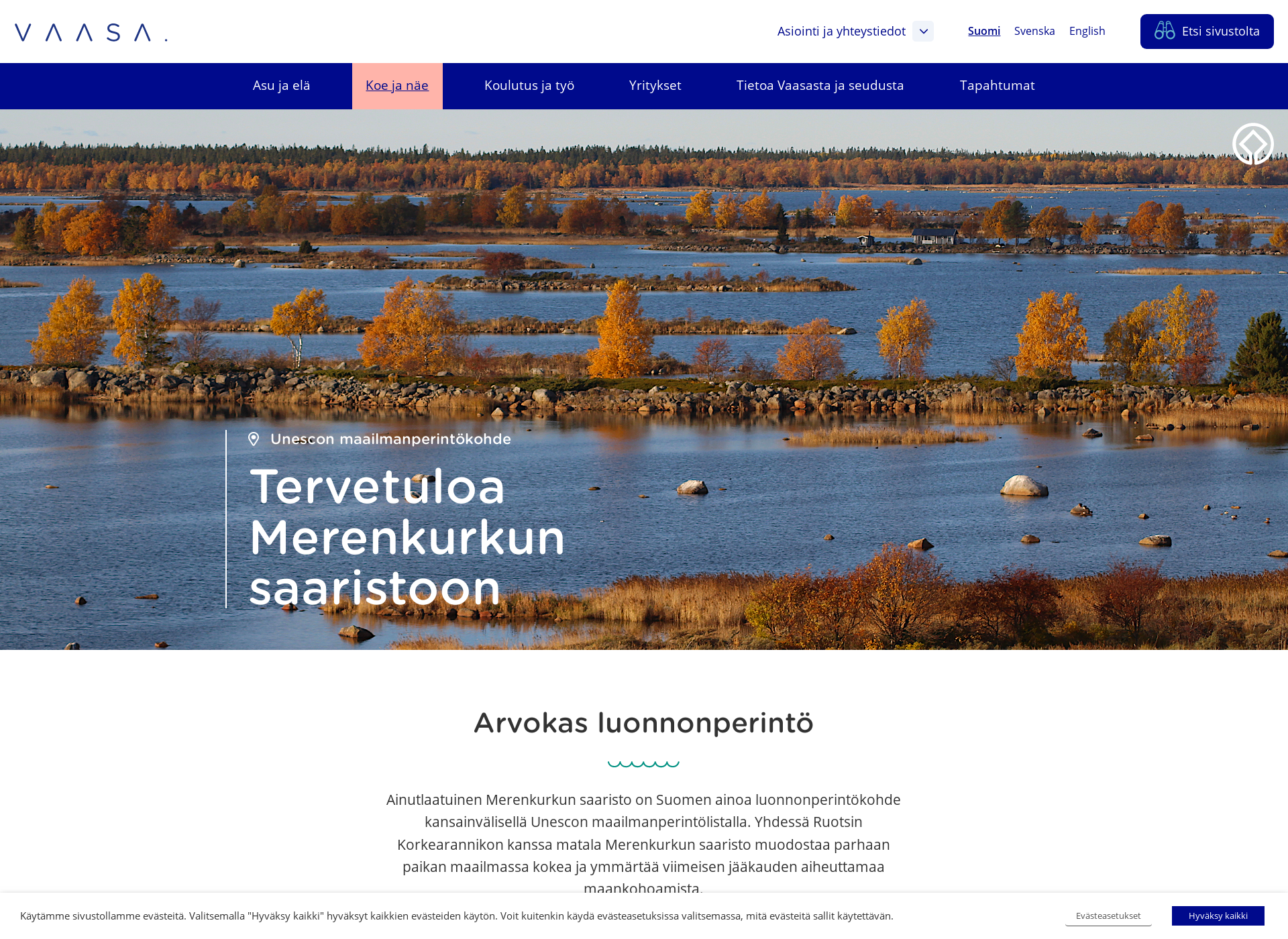 Screenshot for visitmerenkurkku.fi