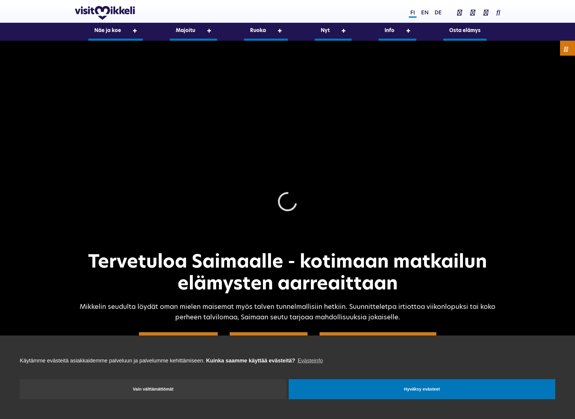 Skärmdump för visitmikkeli.fi