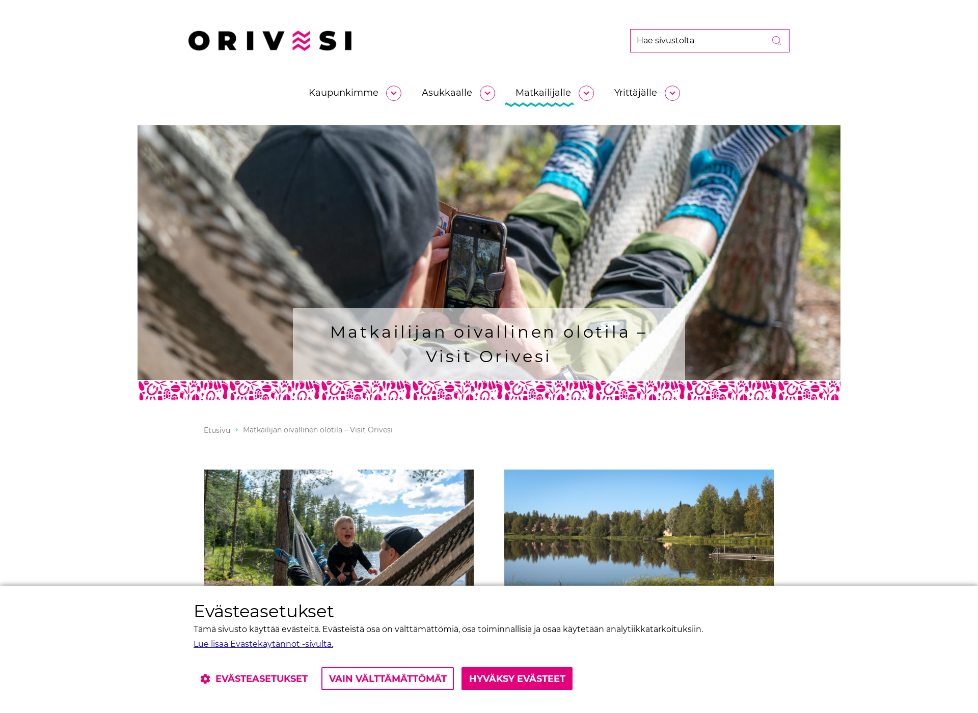Screenshot for visitorivesi.fi