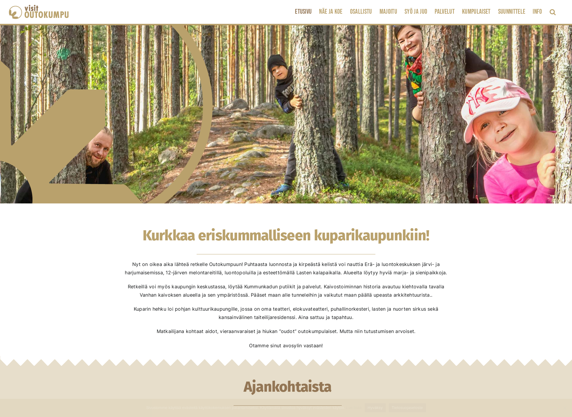 Screenshot for visitoutokumpu.fi