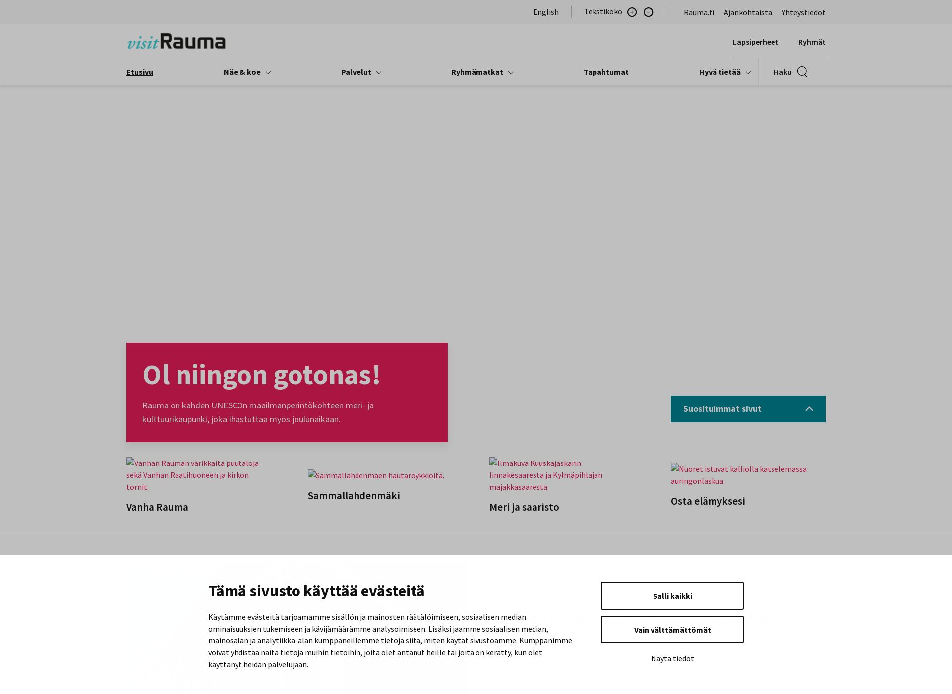 Screenshot for visitrauma.fi