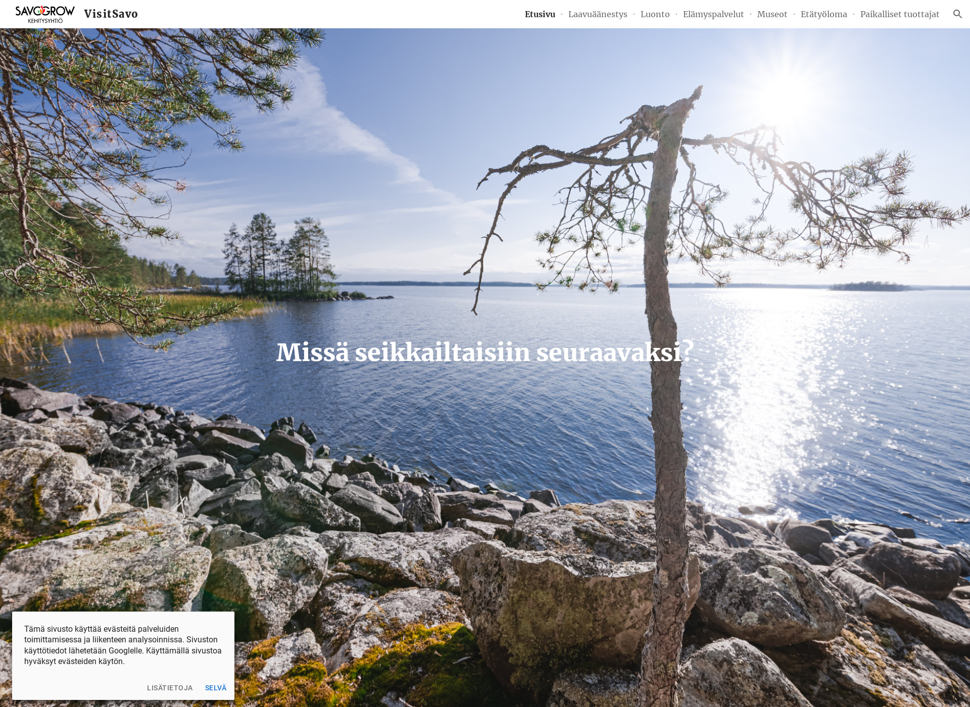Skärmdump för visitsavo.fi