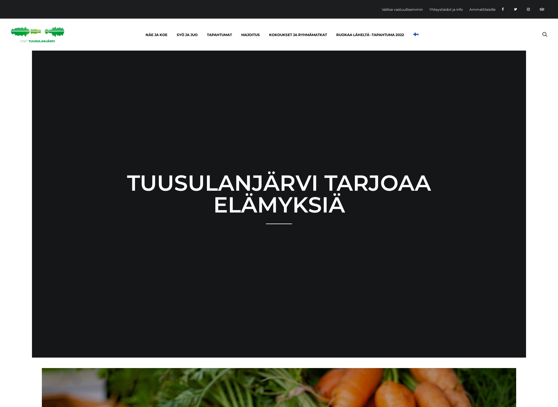 Screenshot for visittuusulanjarvi.fi