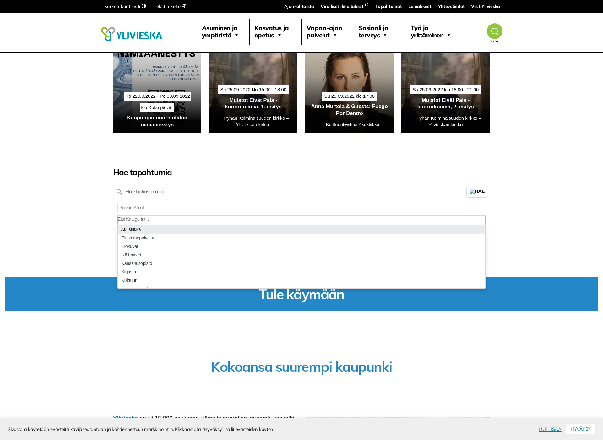 Skärmdump för visitylivieska.fi