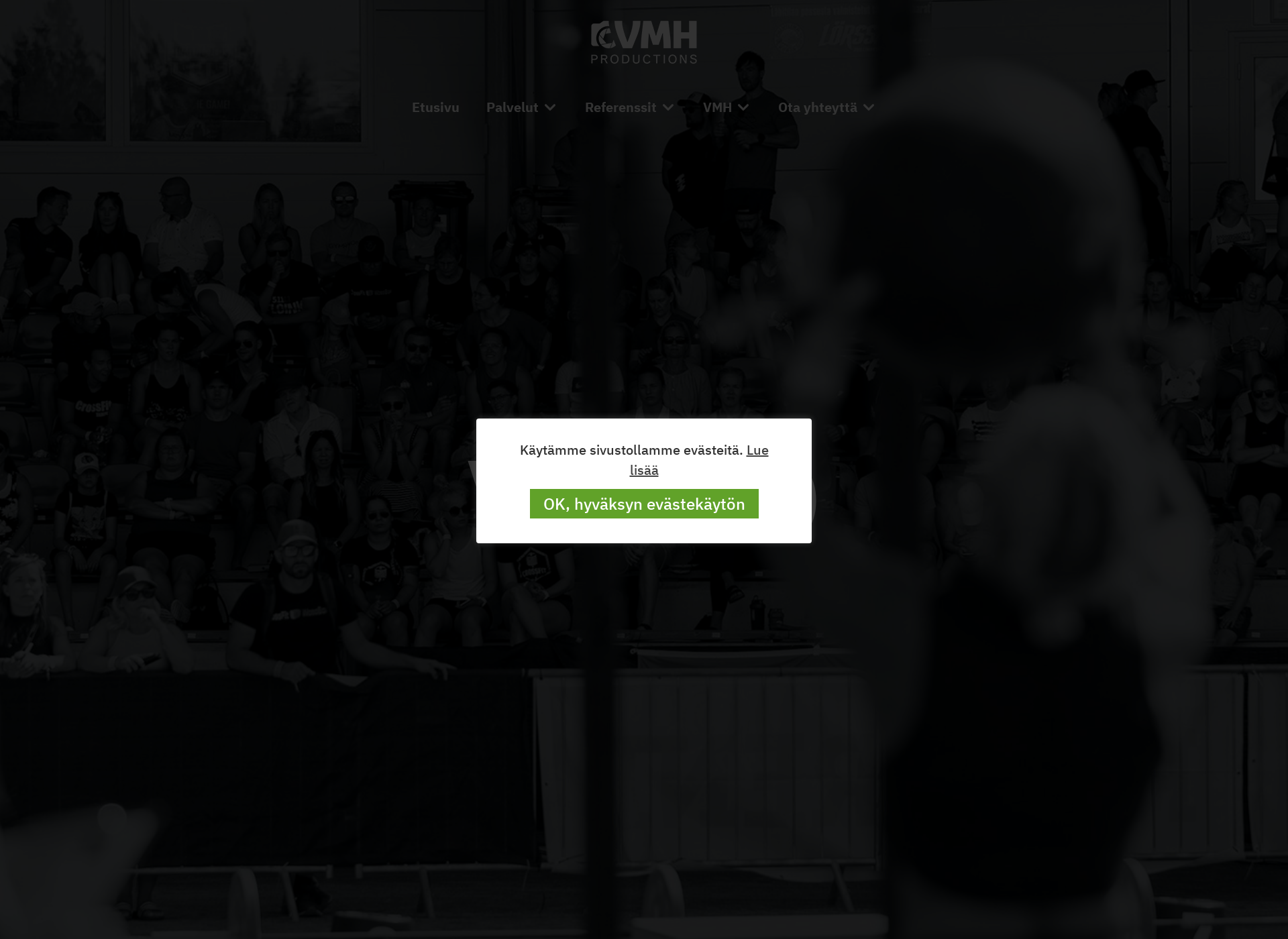 Screenshot for vmh-huittinen.fi