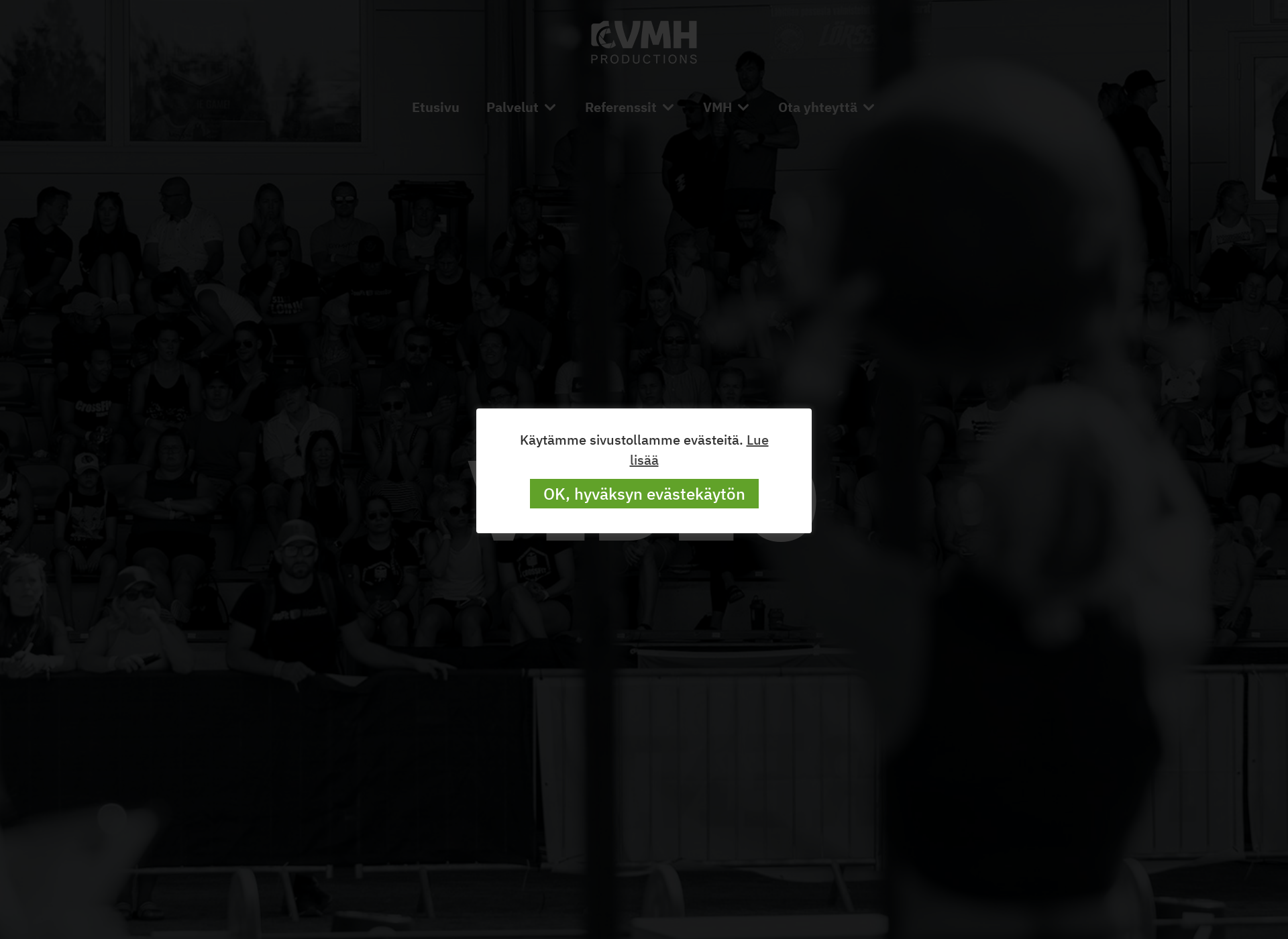 Skärmdump för vmh-productions.fi