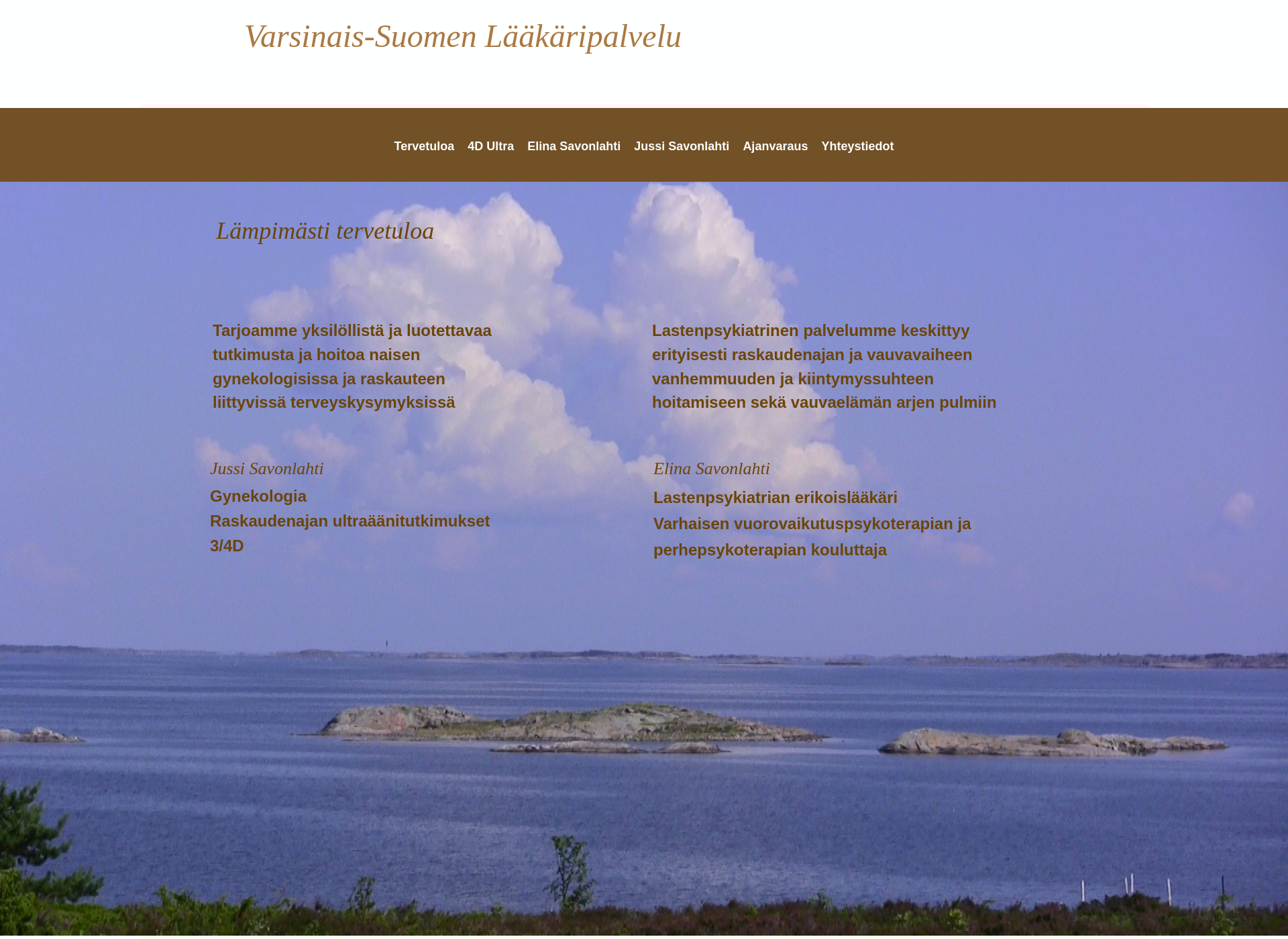 Screenshot for vslaakaripalvelu.fi