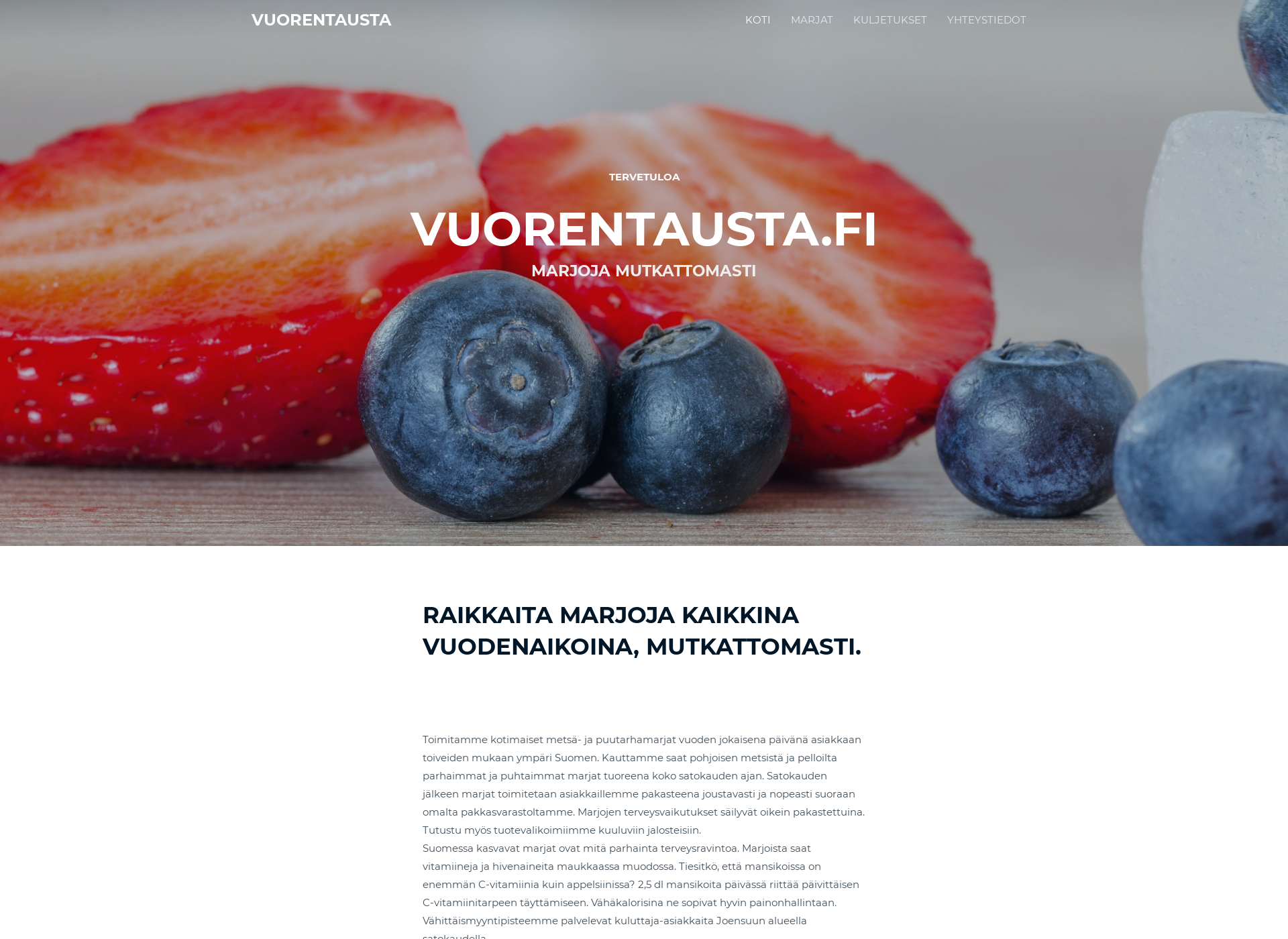 Skärmdump för vuorentausta.fi