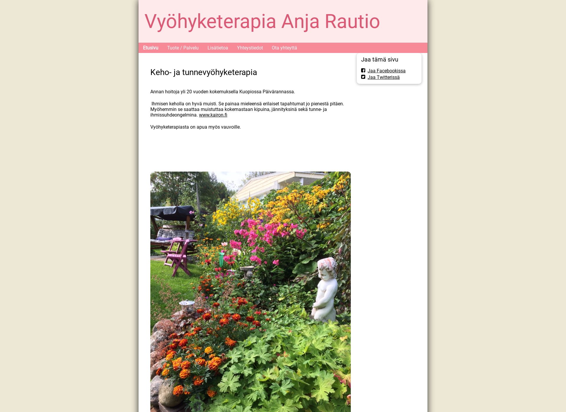 Skärmdump för vyohyketerapia-pvt.fi