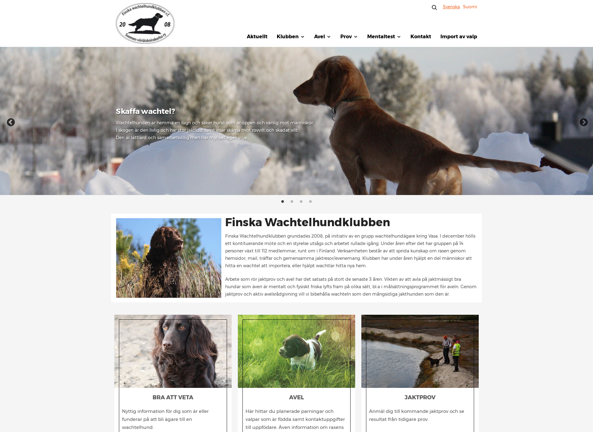 Screenshot for wachtelhundklubben.fi