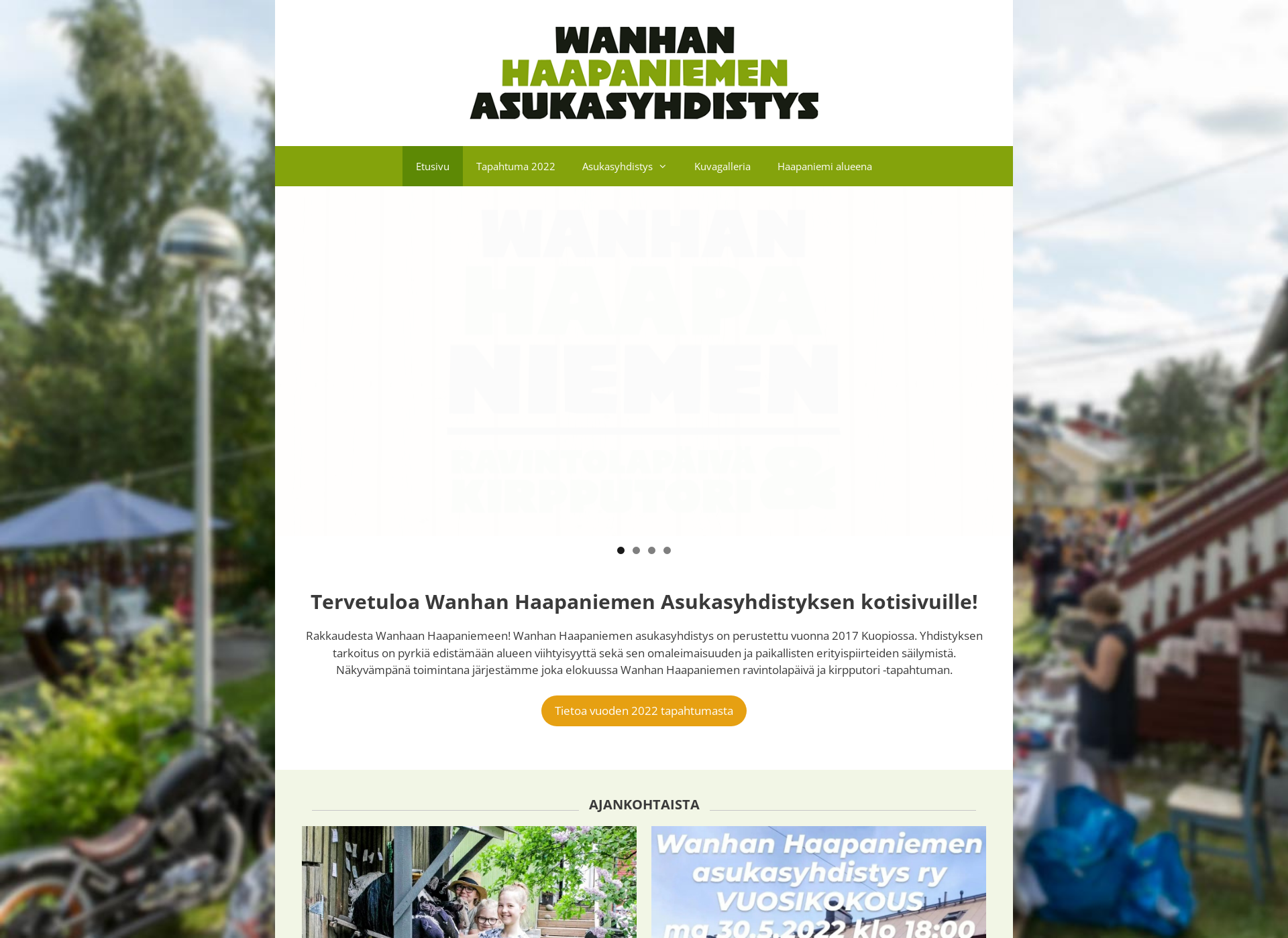 Screenshot for wanhahaapaniemi.fi