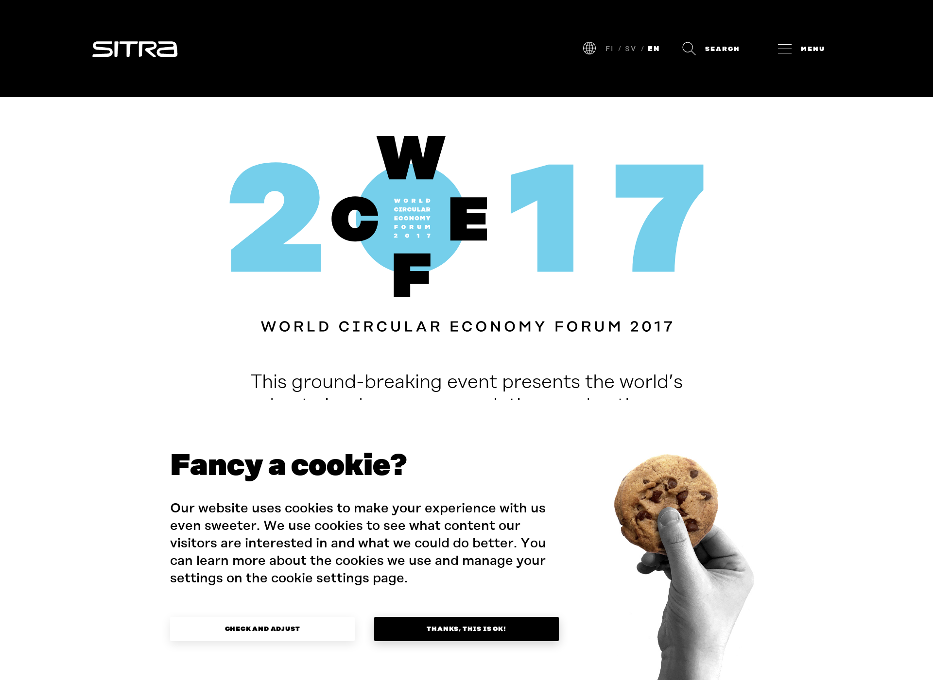 Screenshot for wcef2017.fi