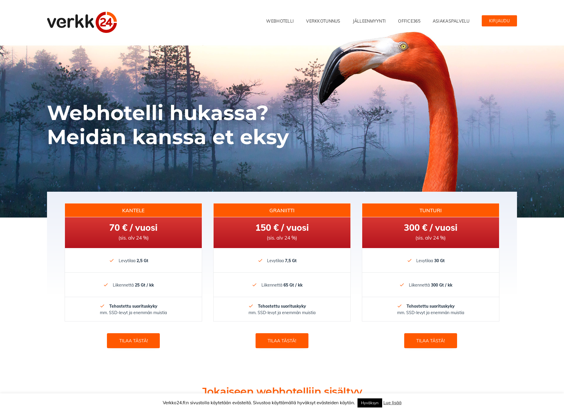 Näyttökuva web-hotellipalvelu.fi