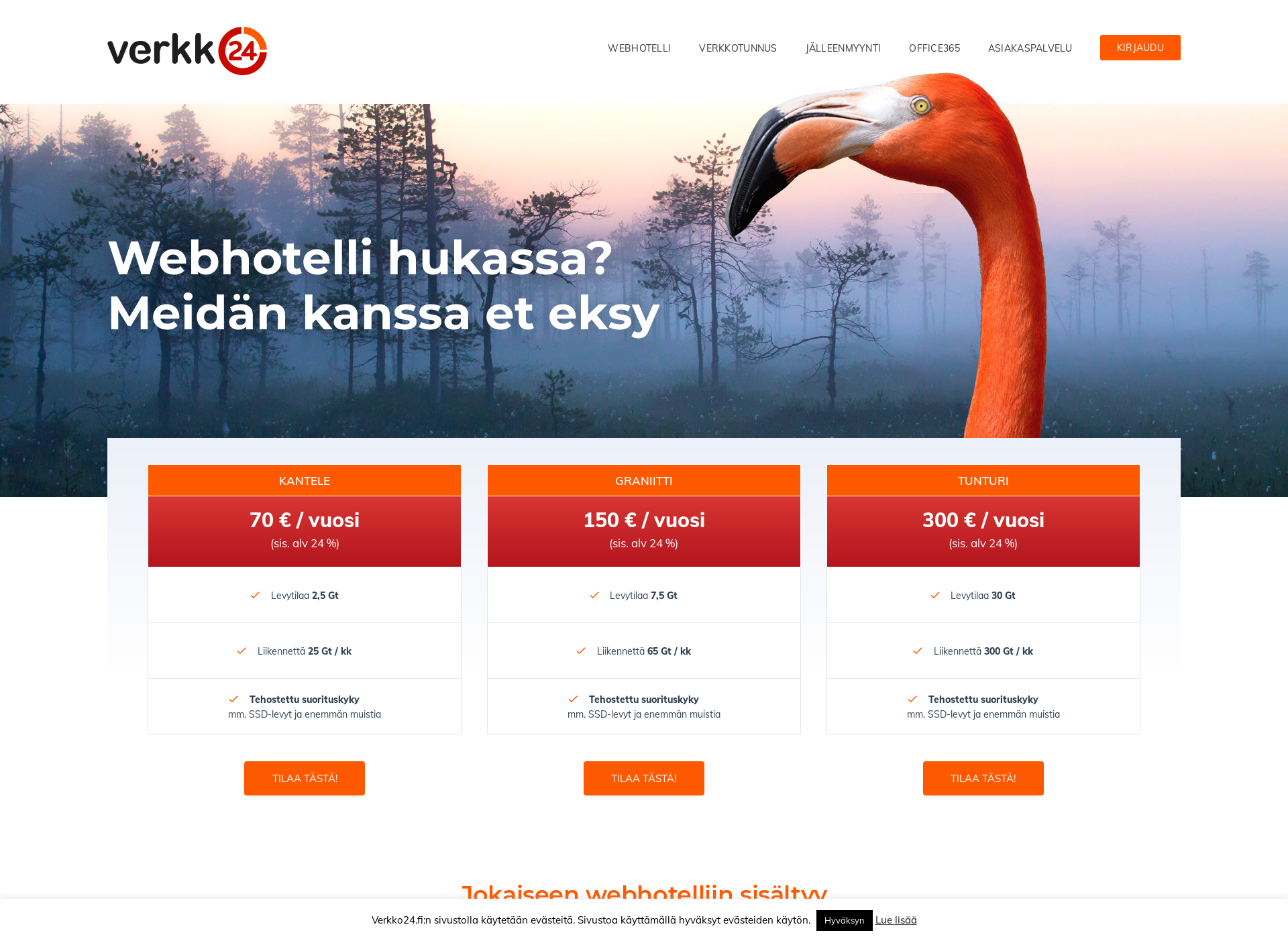 Screenshot for web-hotellipalvelu.fi