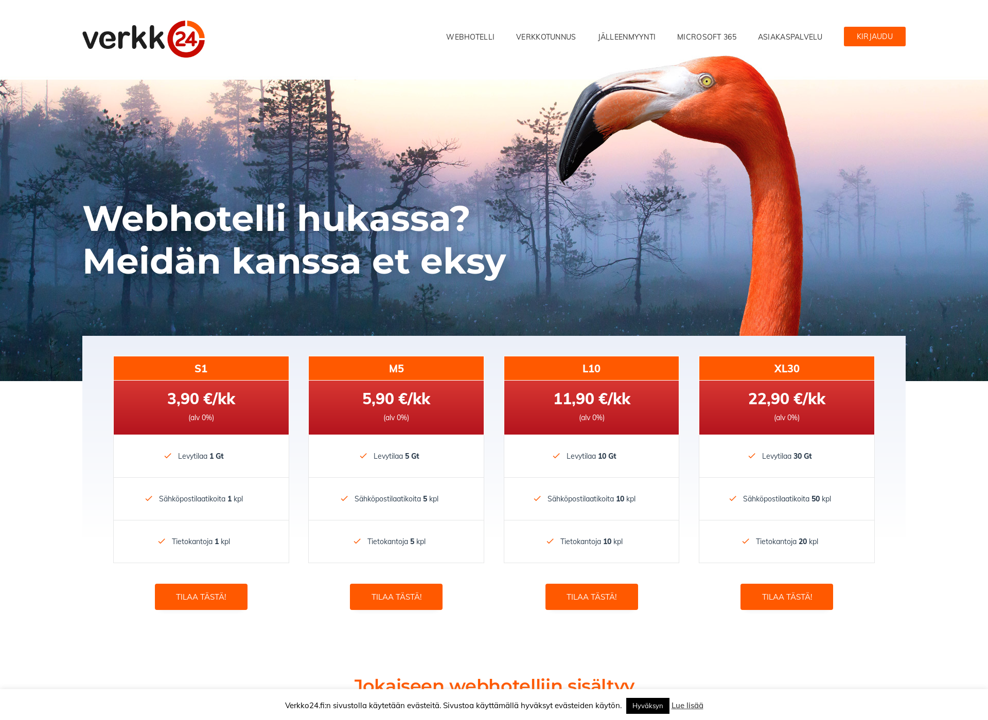 Skärmdump för webbihotelli.fi