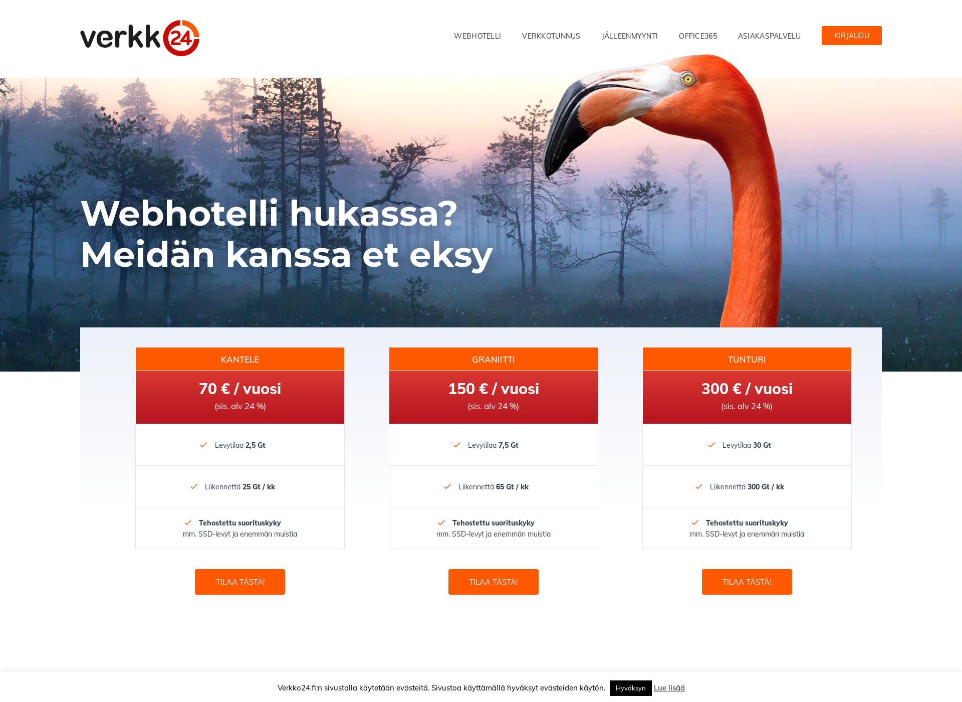 Screenshot for webnimi.fi