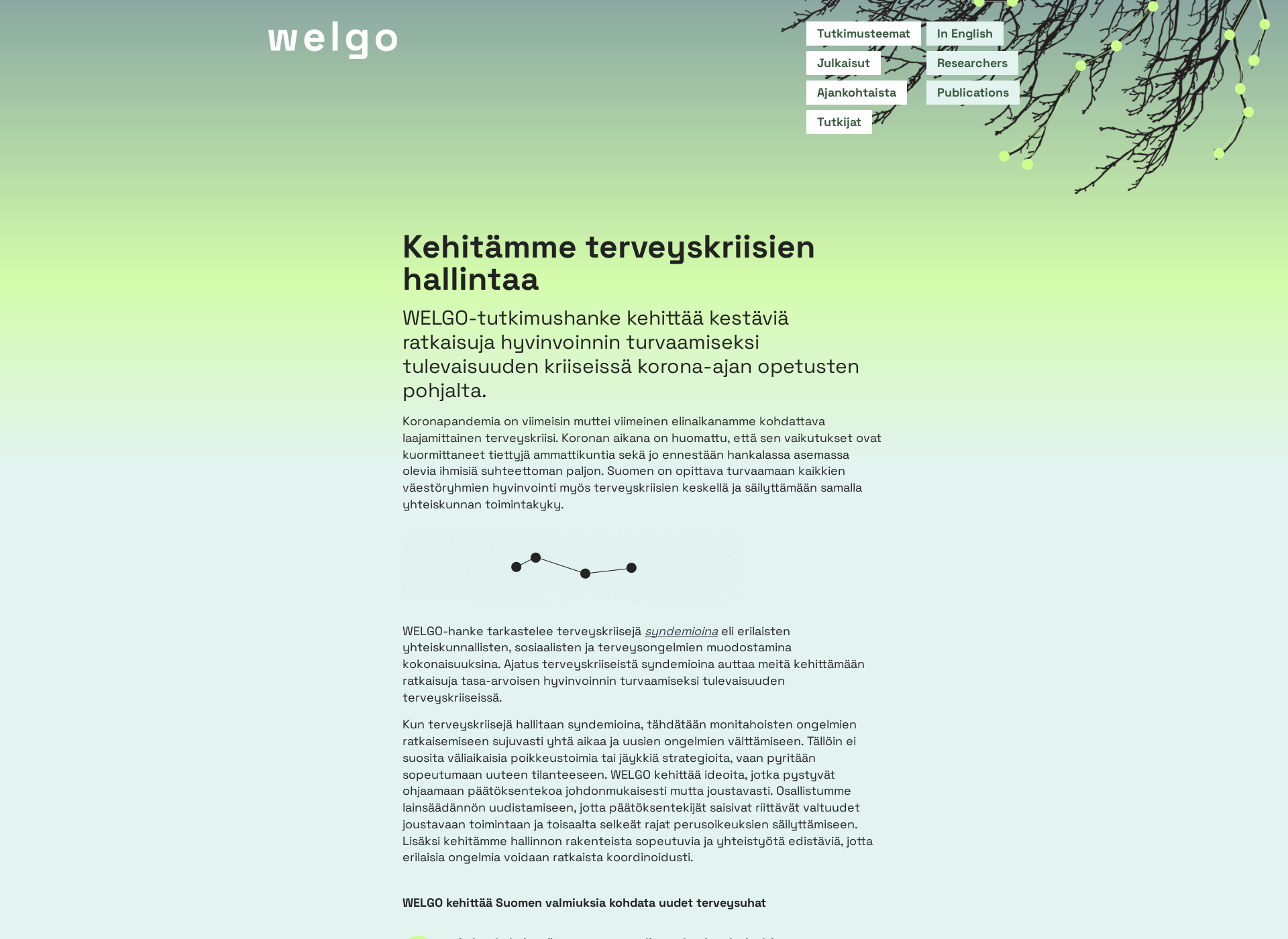 Screenshot for welgo.fi