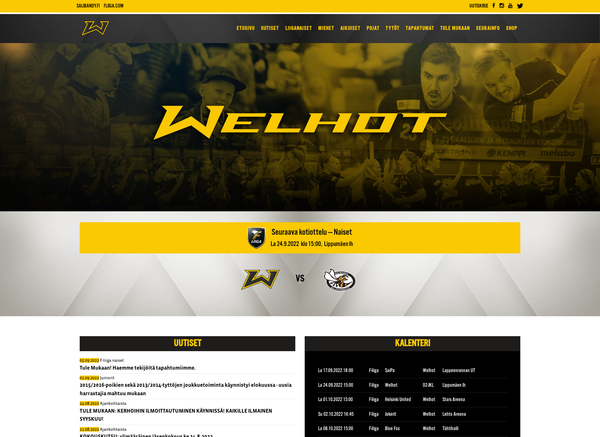 Screenshot for welhot.fi