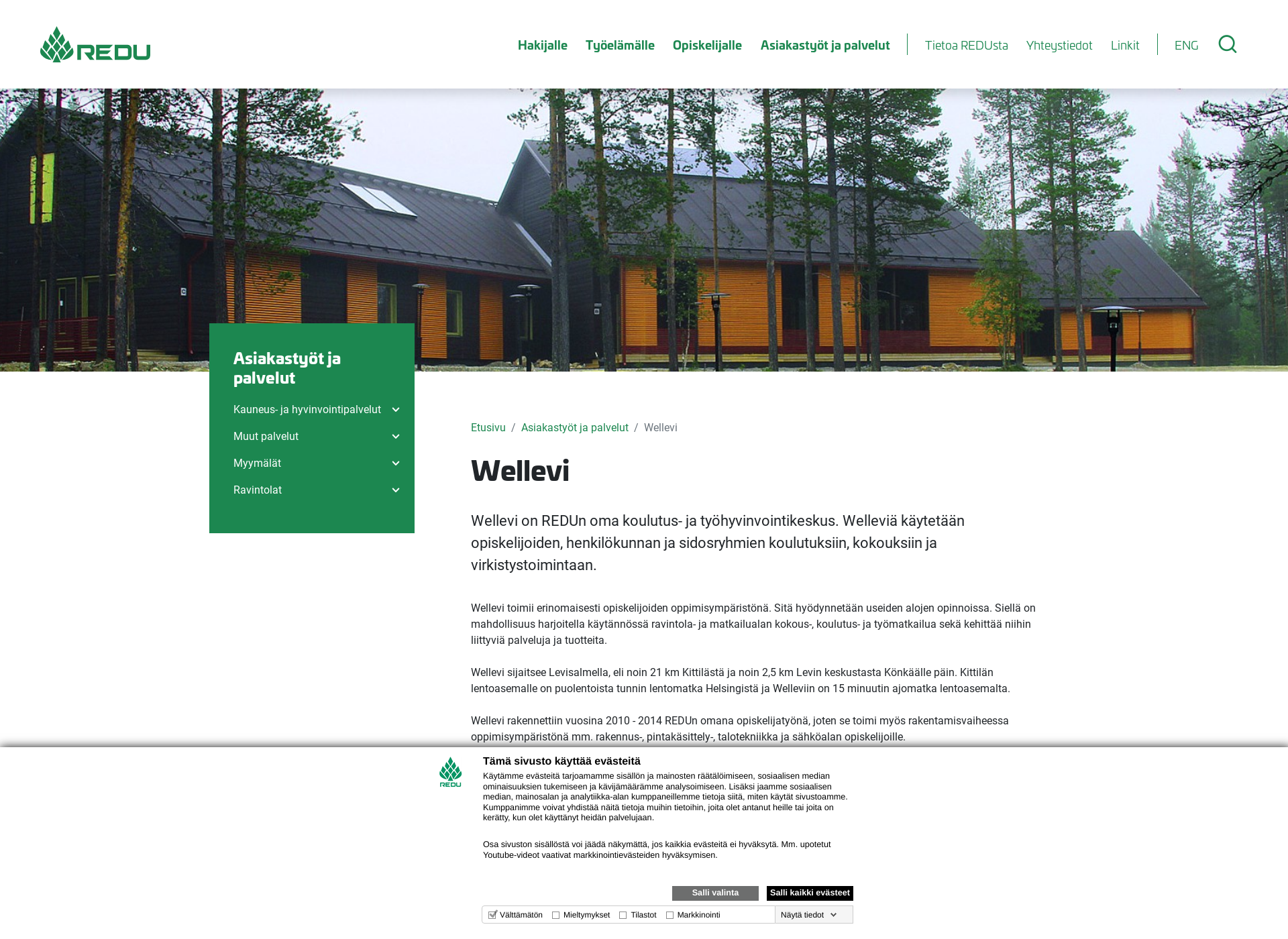 Screenshot for wellevi.fi