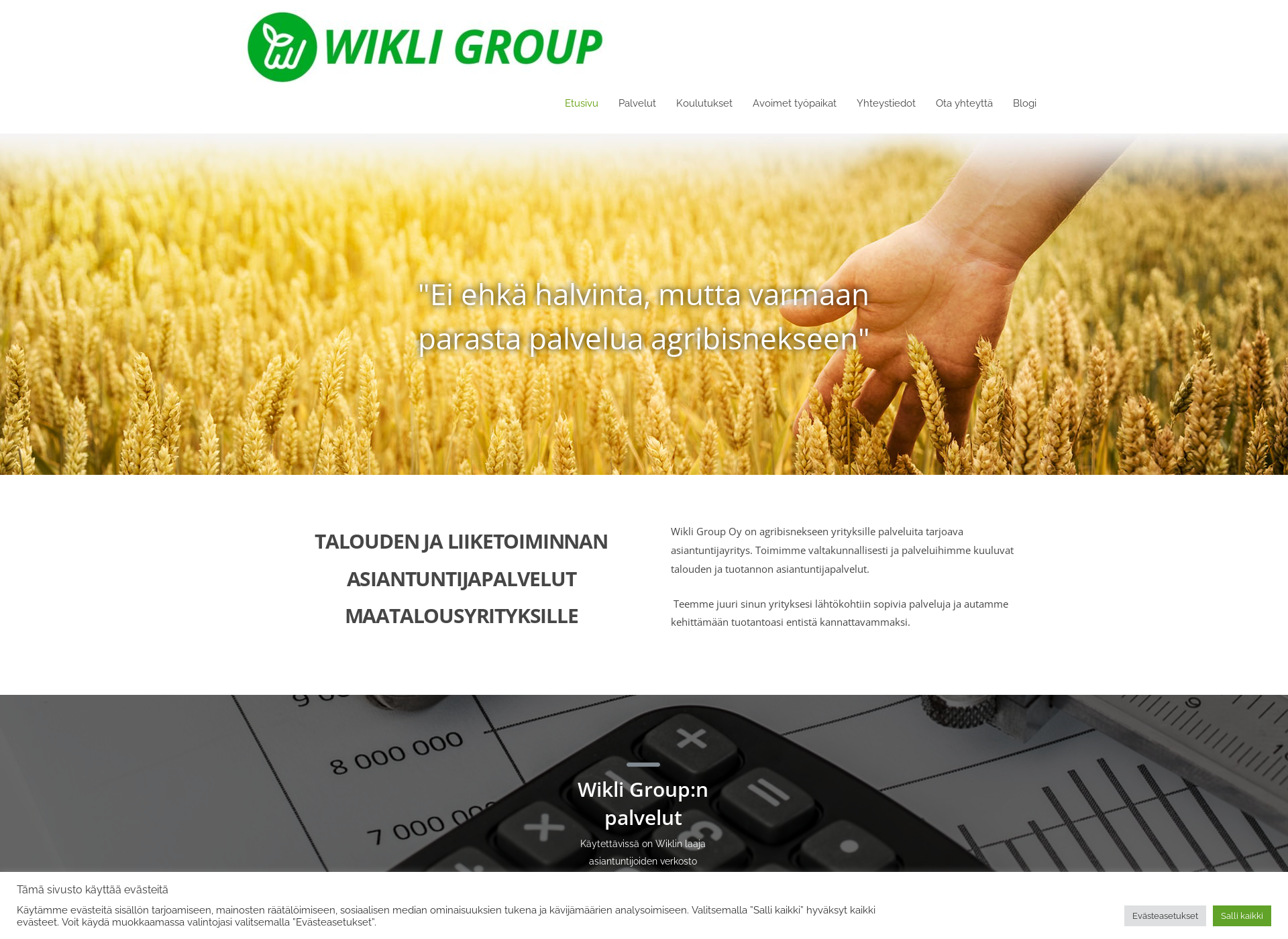 Screenshot for wikli.fi