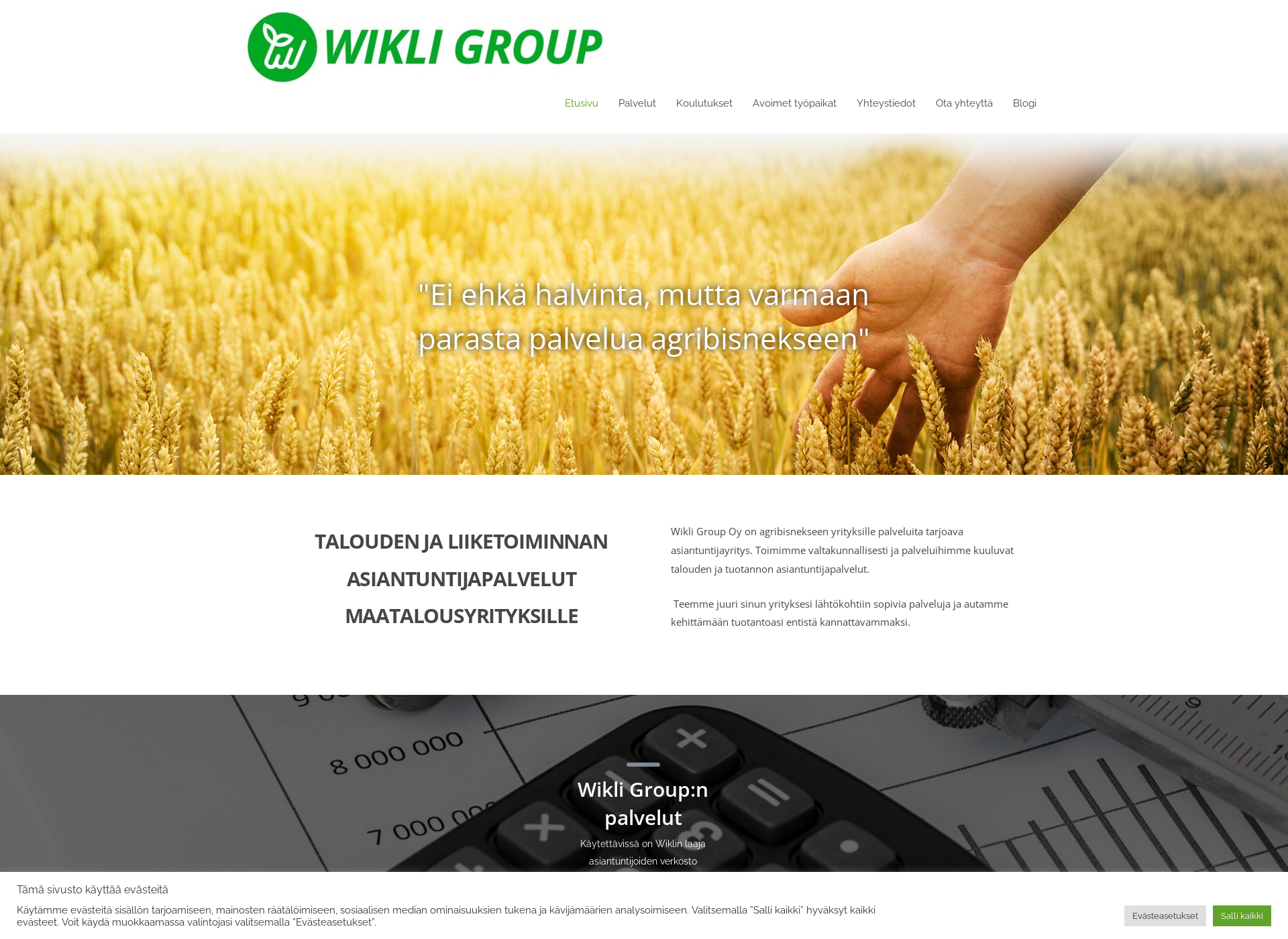 Screenshot for wikligroup.fi