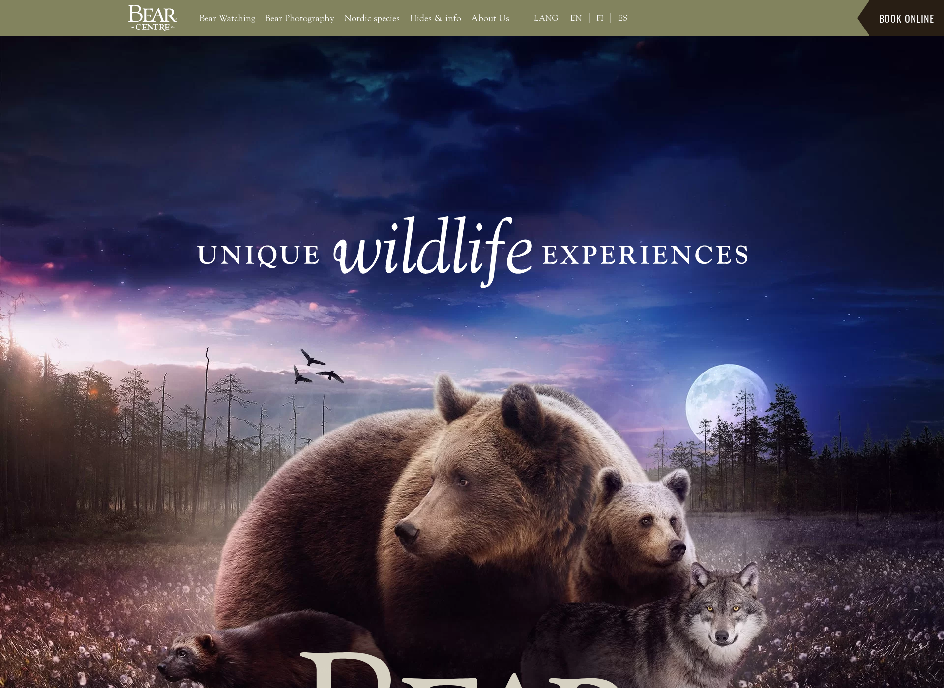 Screenshot for wildbrownbear.fi
