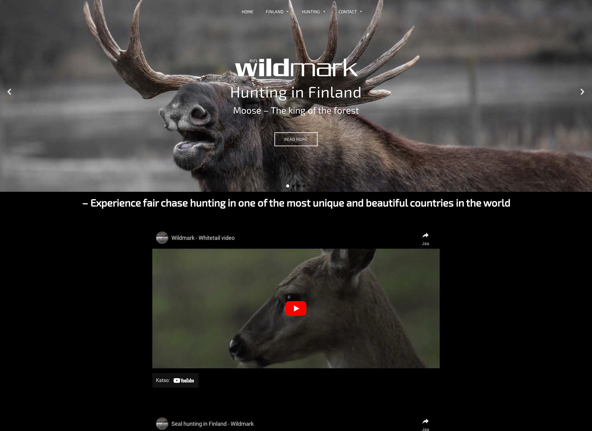 Screenshot for wildmark.fi